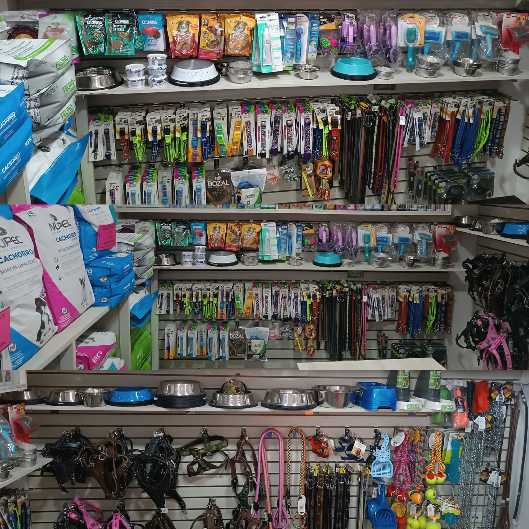 AccesoriosMascota